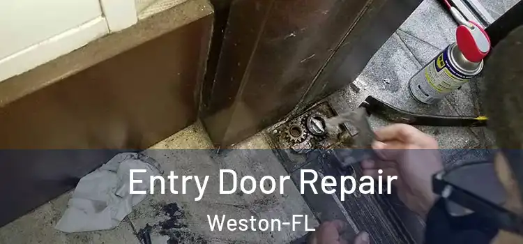  Entry Door Repair Weston-FL