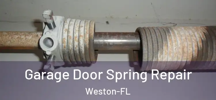  Garage Door Spring Repair Weston-FL