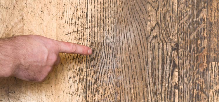 Wood Door Scratch Repair in Weston