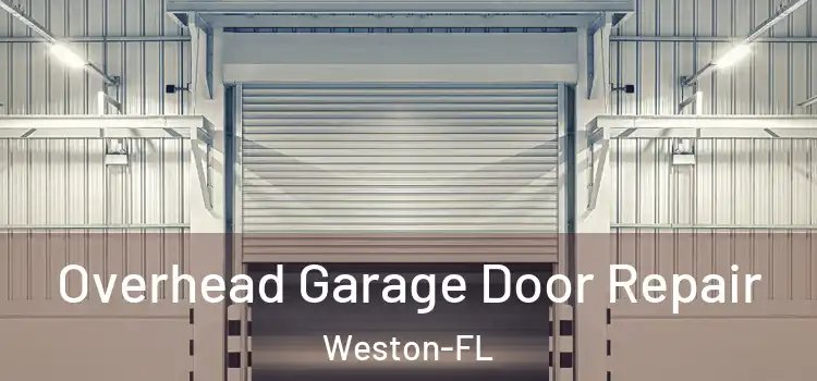  Overhead Garage Door Repair Weston-FL