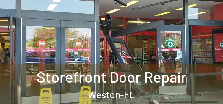  Storefront Door Repair Weston-FL